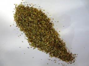 Oregano